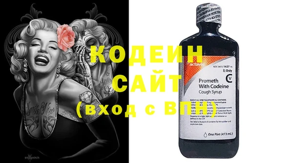 гашик Каменка