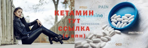 гашик Каменка