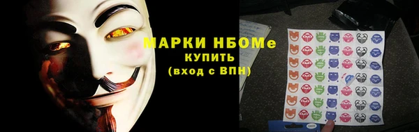 гашик Каменка
