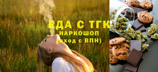 гашик Каменка