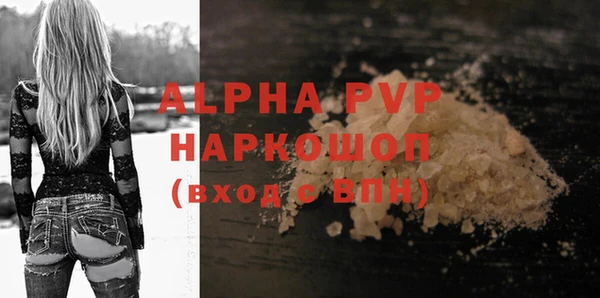 гашик Каменка